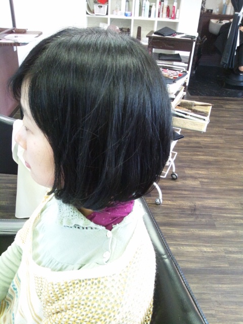 ☆ナノケアプレス☆