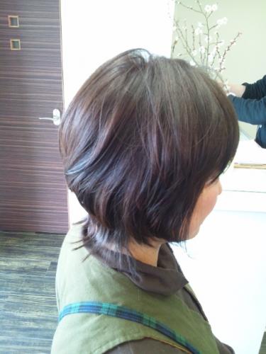 春♪クリープパーマ♪