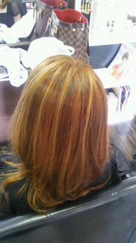 メッシュ☆メッシュ