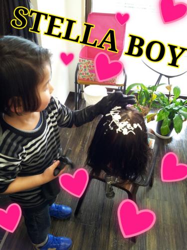 STELLA BOY＼(^-^)／