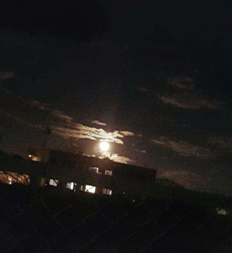 昨夜の月